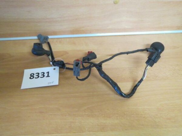 Elektrik, Kabel, Sonstige Kawasaki ZX-9R 900F ZX900EF  2002-2003